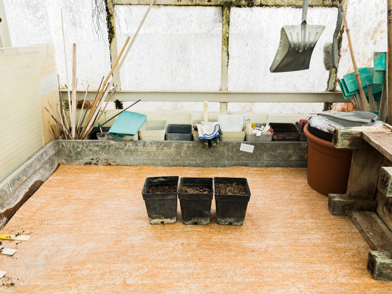 Mold remediation work